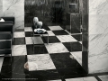 Immagini 1224